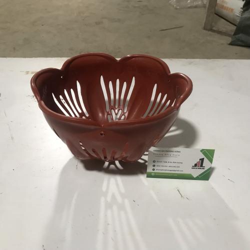 Chậu nhựa tai bèo